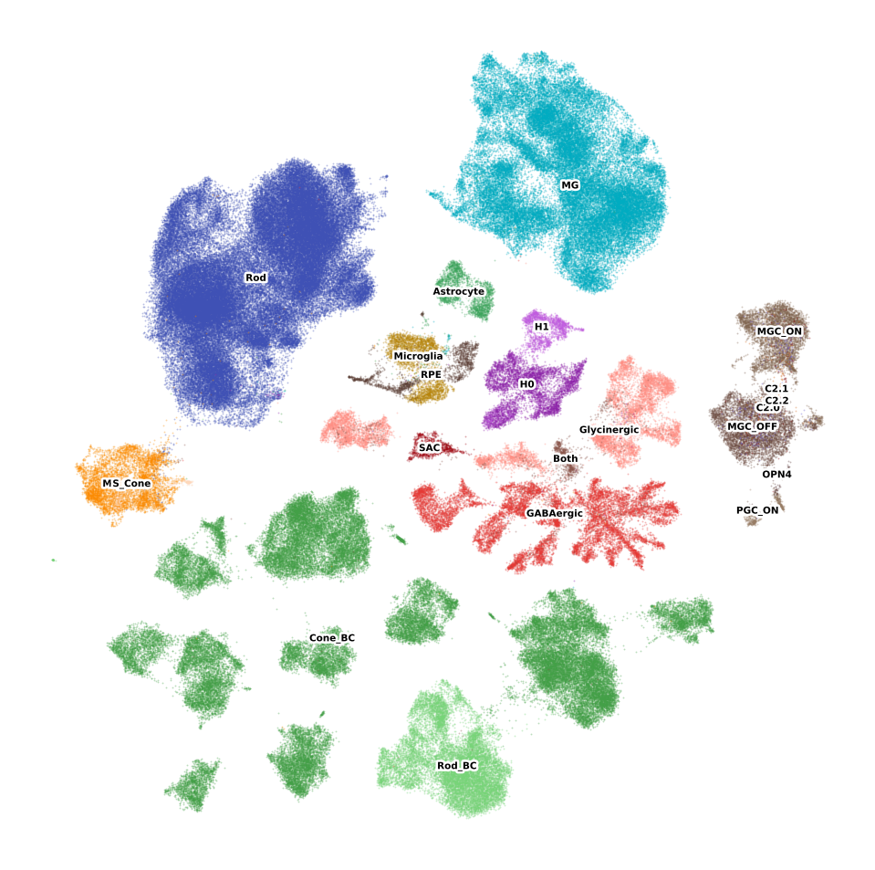 HRCA_RETINA_MAIN
